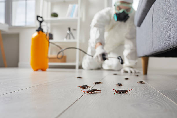 Commercial Kitchen Cockroach Control in West Hills